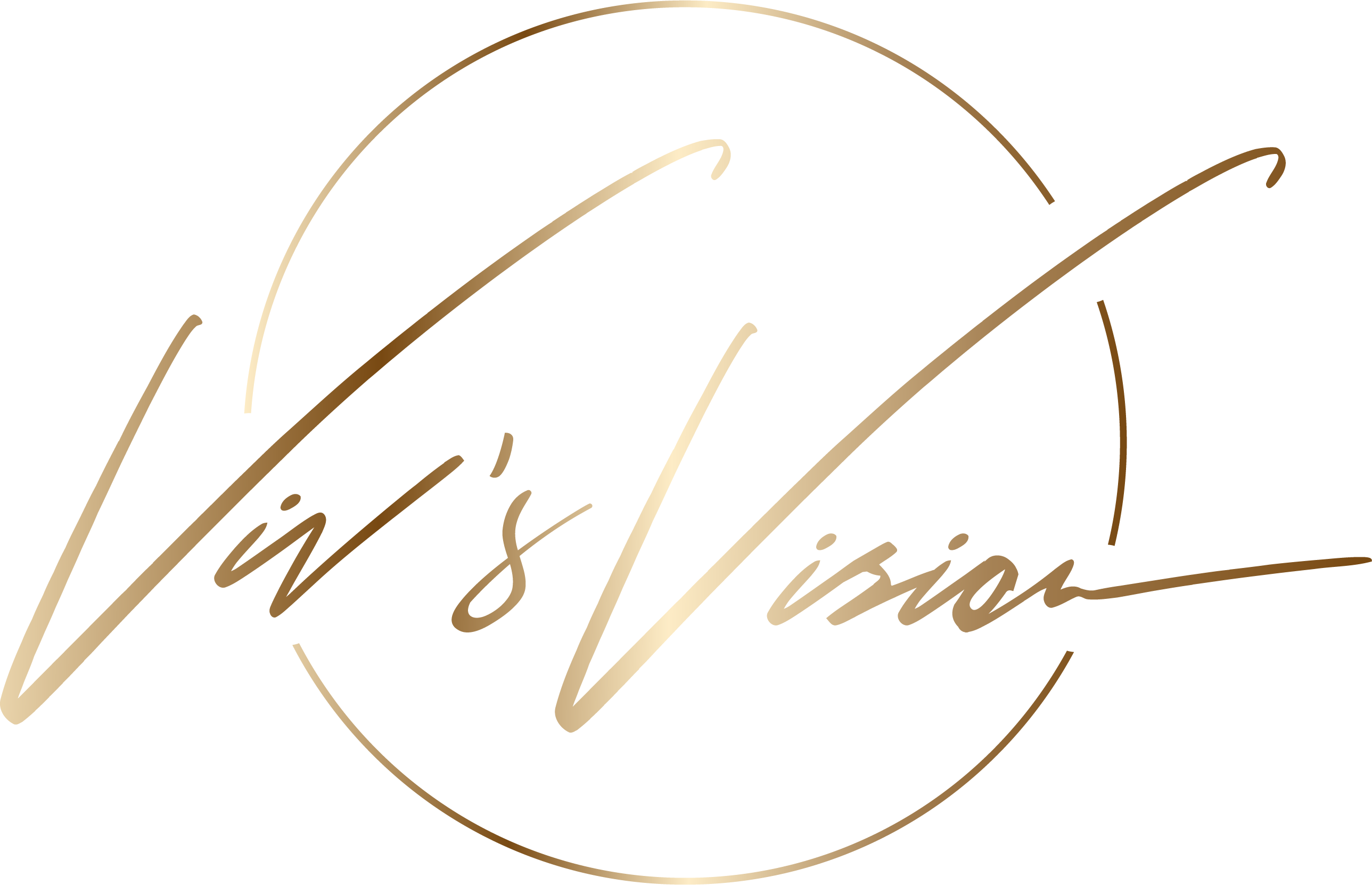 vivsvision.com